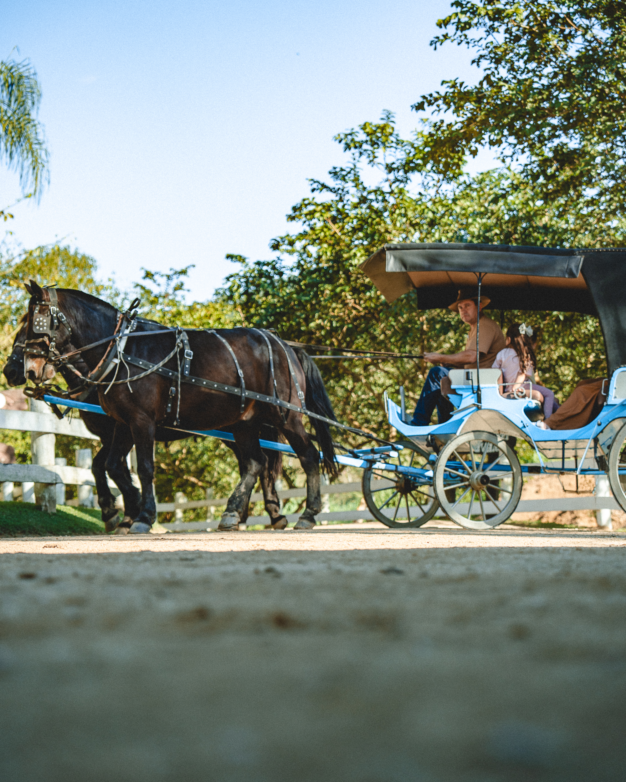 descrição para deficientes visuais
